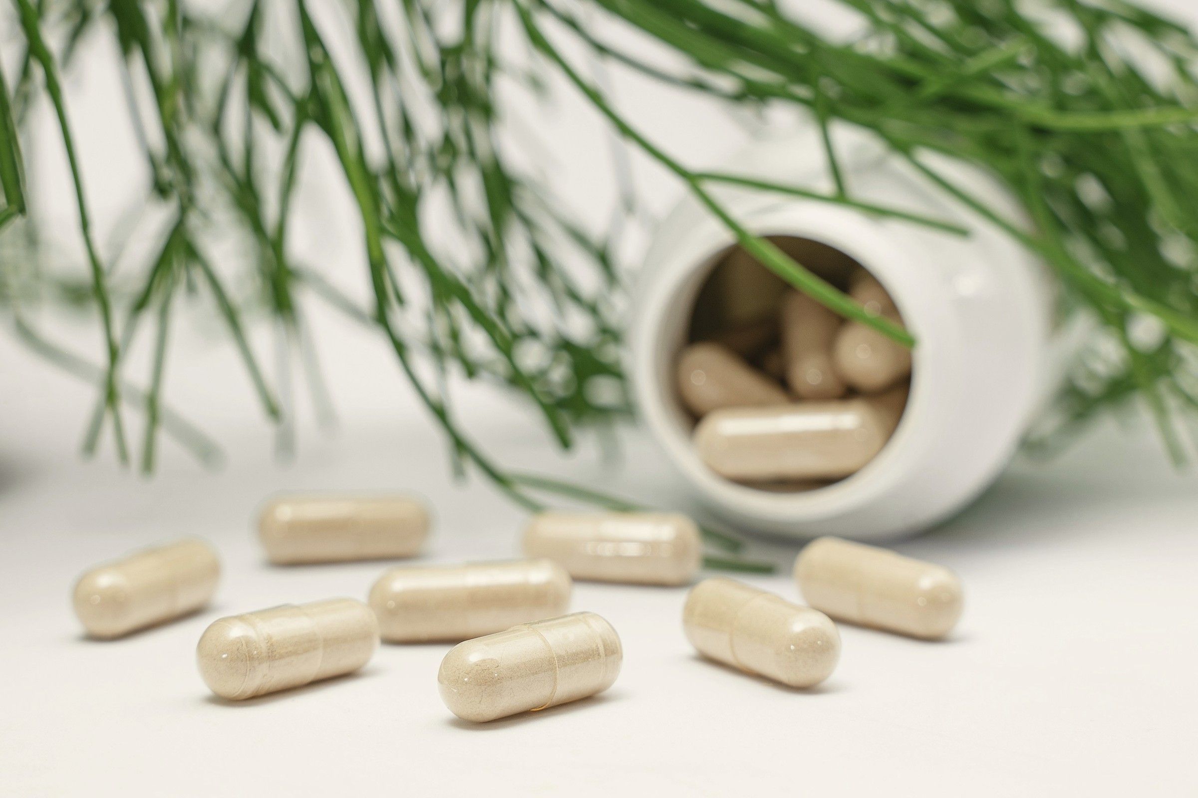 Capsule vegetali uscite da un flacone bianco, tra steli d’erba